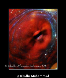 eye-O by Khidlir Muhammad 